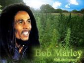 sant of wat wi do