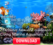 ocean atlantique