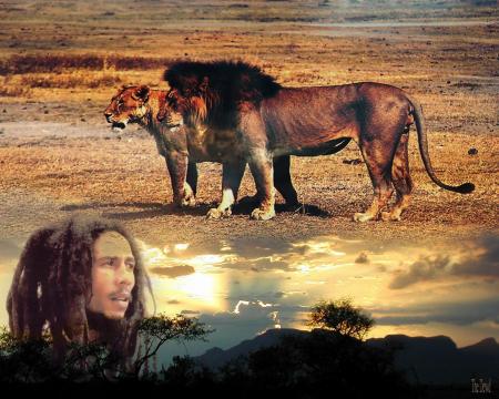 marley